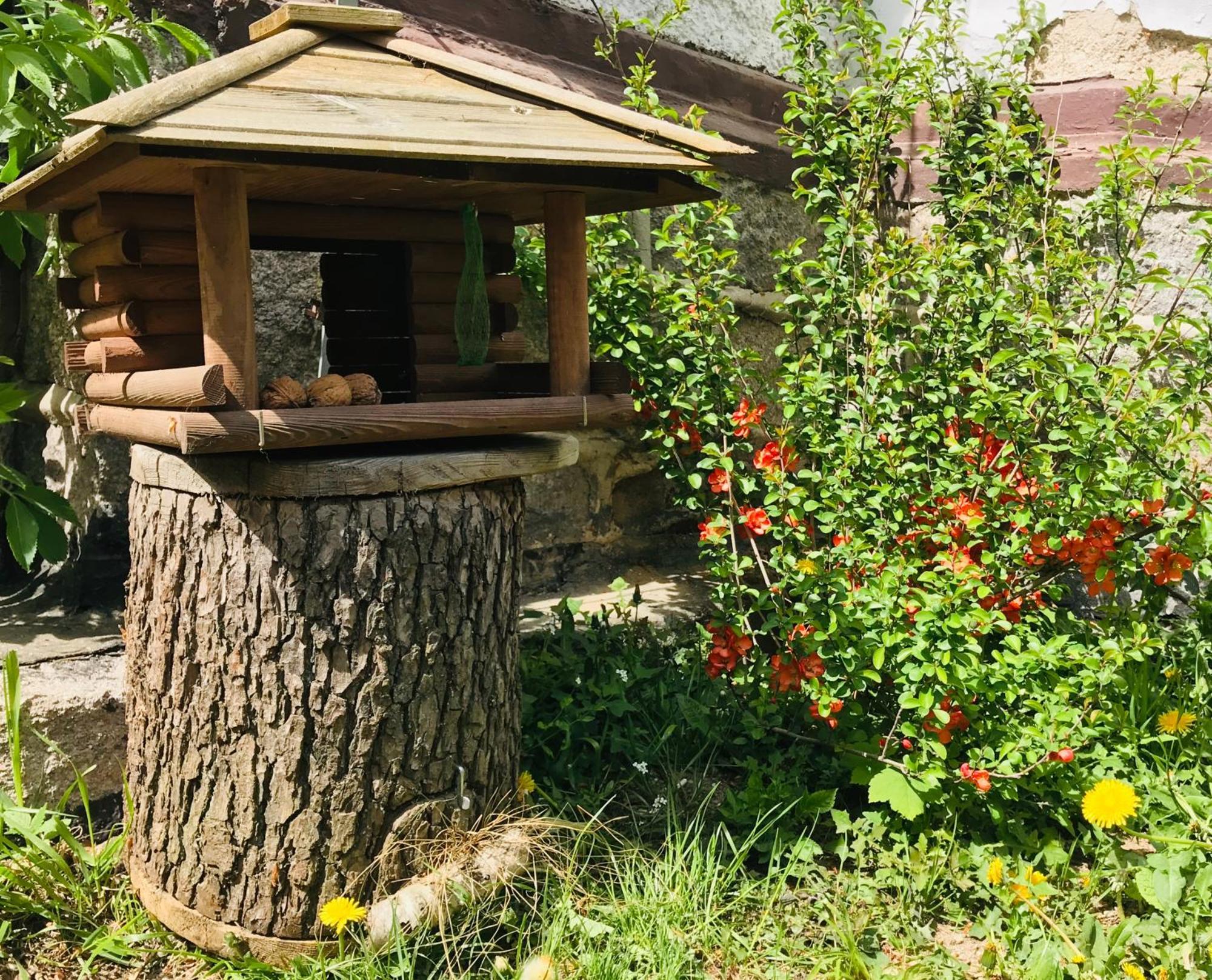 Apartamenty Pod Skocznia Karpacz Szoba fotó